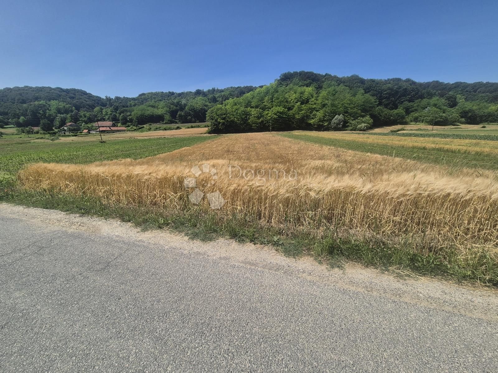 Fotografija