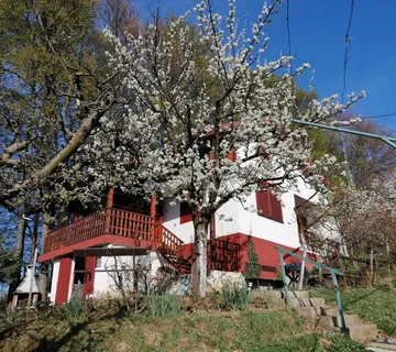 Mirna lokacija i potpuna privatnost - vikendica s vinogradom - cover