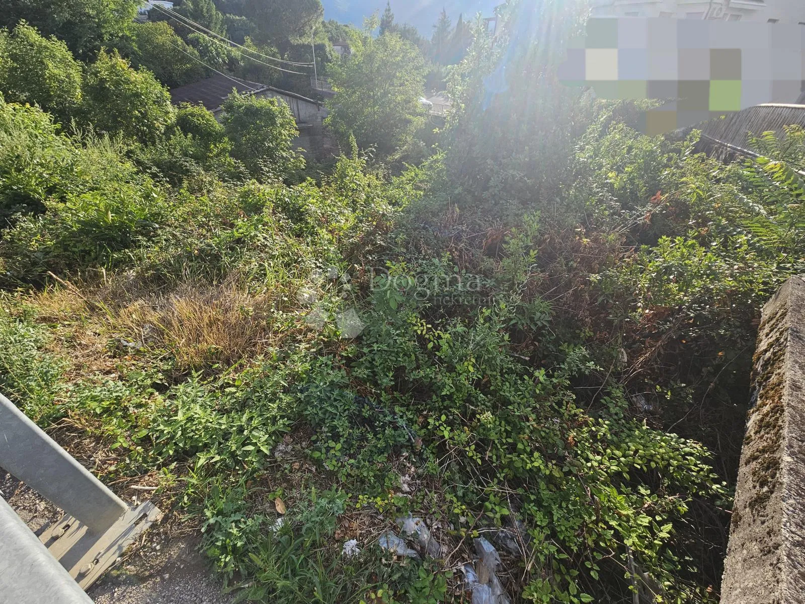 Fotografija