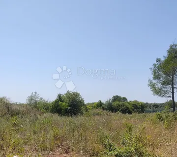 Poljoprivredno zemljište na odličnoj lokaciji, idealno za maslinik, odmor ili investiciju - Galižana, Vodnjan
