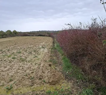 KRNEZA-Poljoprivredno zemljište