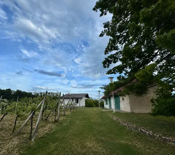Zagorska idila na Vinica Bregu – dvije kuće, mir i priroda - Vinica Breg, Vinica