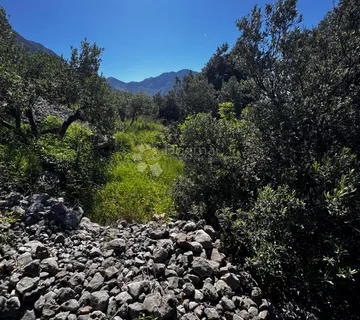 Građevinsko Zemljišta Brist Makarsko Primorje - Brist, Gradac