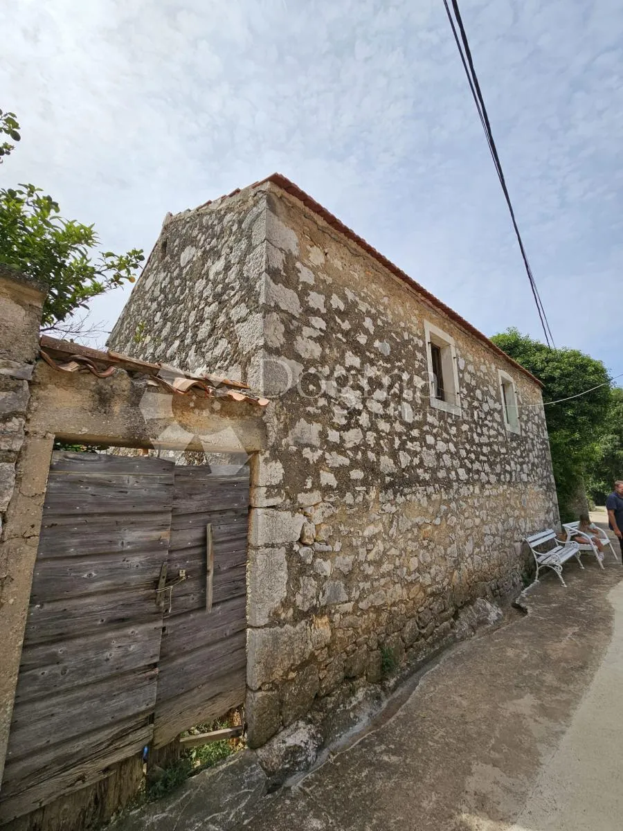 Fotografija