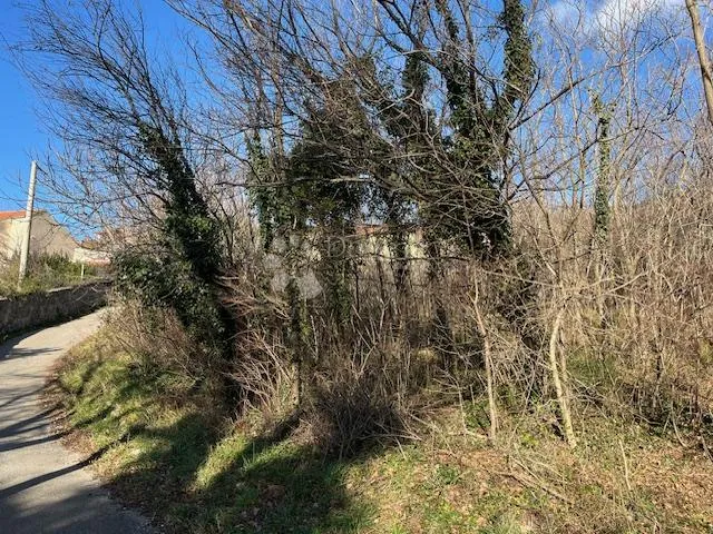 Fotografija