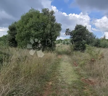 Poljoprivredno zemljište Kavran-1296 m2 - Kavran, Marčana