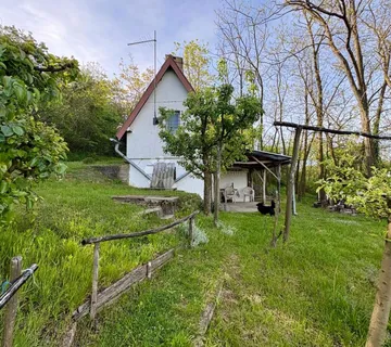 Oaza mira i privatnosti – vikendica s vinogradom i 3.797 m² okućnice - cover