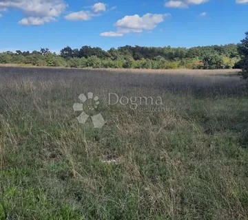 PRILIKA! Poljoprivredno zemljište Štokovci 26059m2 - Štokovci, Svetvinčenat