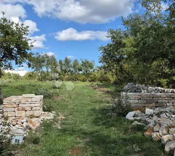 Poljoprivredno zemljište ograđeno suhozidom 7949 m2 - Vodnjan