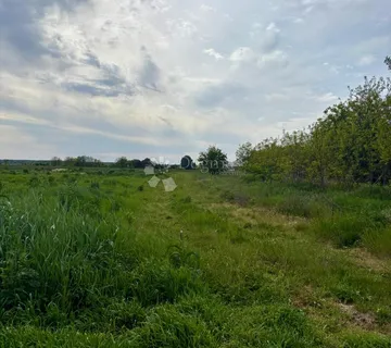 Zemljište 1469 m² idealno za gradnju ili investiciju - Darda