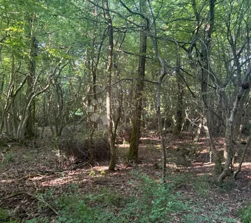 Poljoprivredno zemljište Baderna 11866 m² - Baderna, Poreč