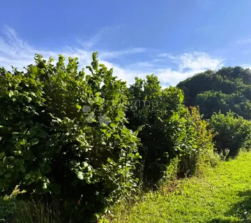 Lješnjaci + poticaji = pametna kupnja! 1583 m² - Kelemen, Jalžabet