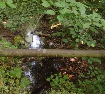 Velika parcela kroz koju prolazi potok!!! - Batinova Kosa, Topusko