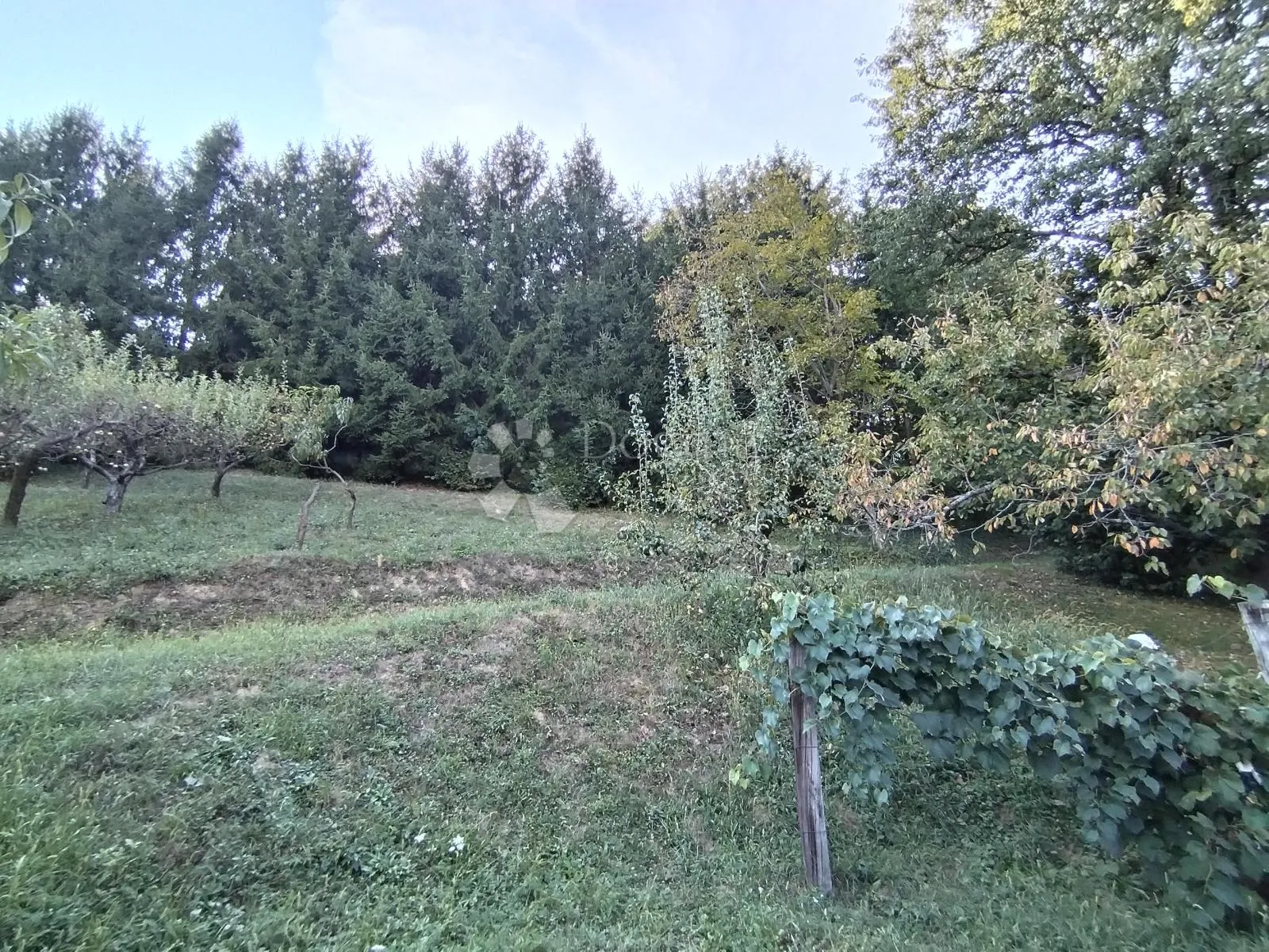 Fotografija