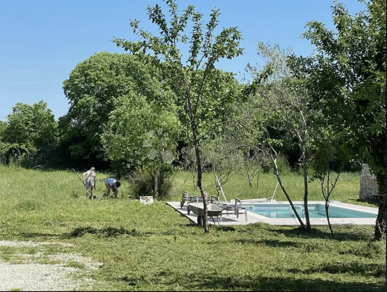 Istarsko imanje s dvije kuće, bazenom i potencijalom gradnje – Čabrunići - cover