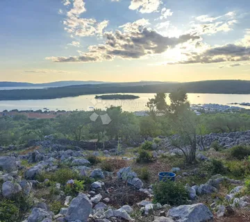 Maslinik s pogledom na more – Punat, otok Krk - cover