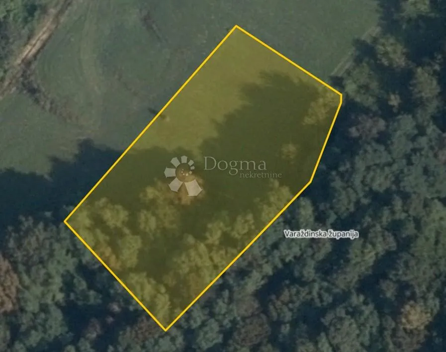 Fotografija