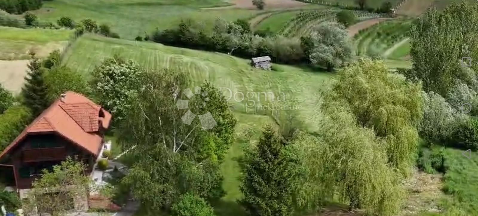 Fotografija