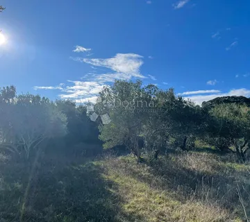 Građevinsko zemljište – Pašman, izuzetna lokacija - cover