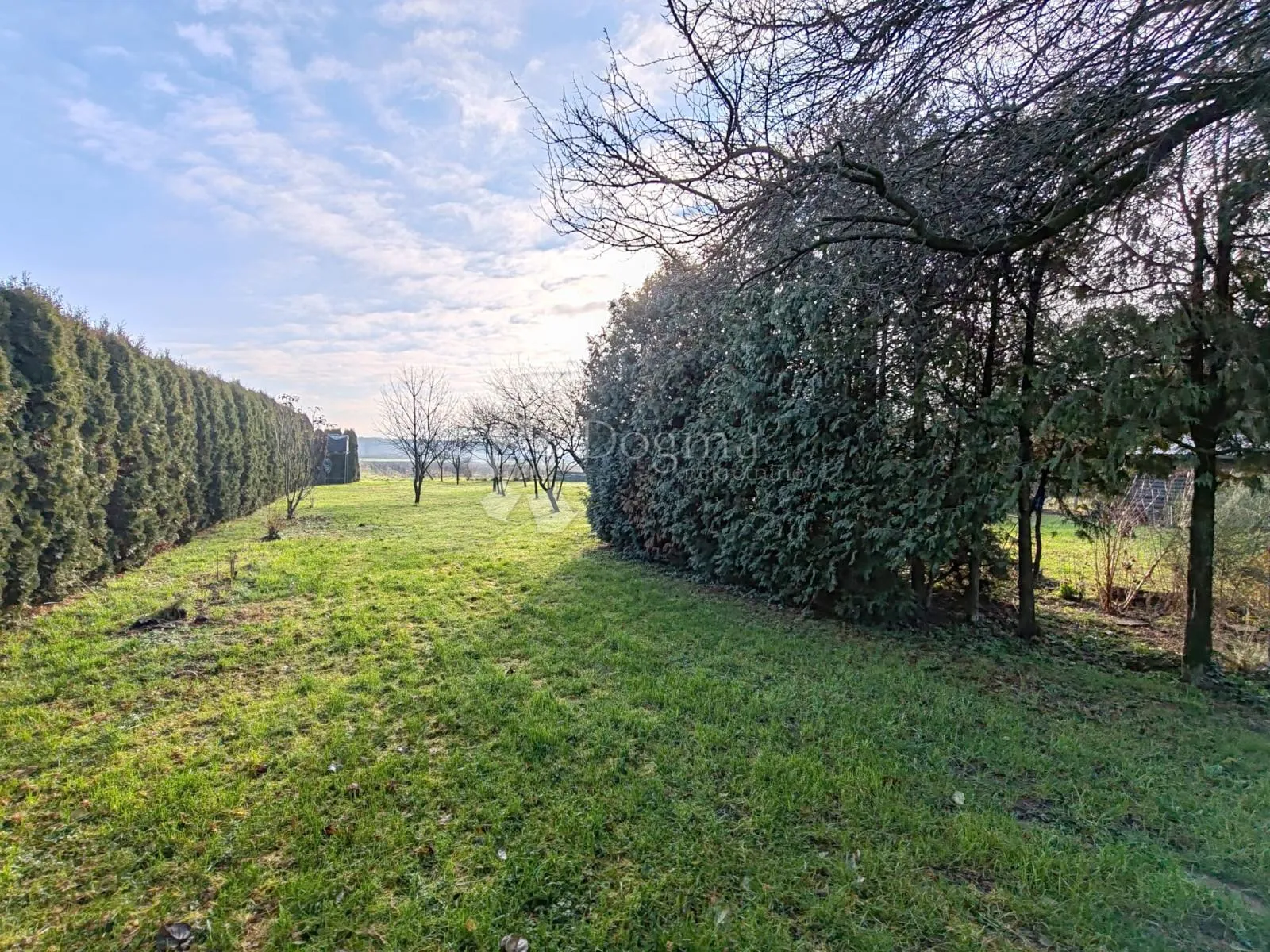 Fotografija