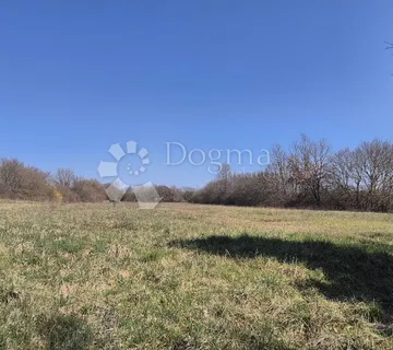 Idealno zemljište za poljoprivredne kulture 5367 m2 - Glavani, Barban