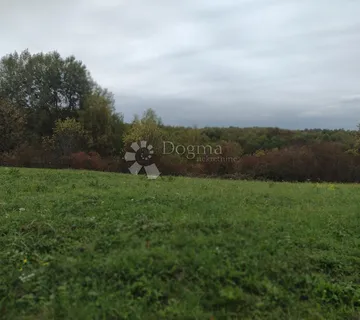 Šuma uz 2 potoka - Dugo Selo Lasinjsko, Gvozd