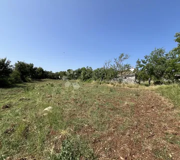 VIŠNJAN OKOLICA, PREDIVNO ZEMLJIŠTE SA KAMENOM KUĆOM ZA ADAPTACIJU - cover