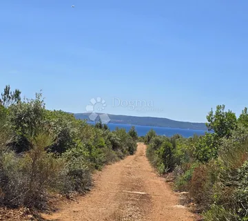 TOP zemljište na Ugljanu, 200 metara od plaže - Ugljan, Preko