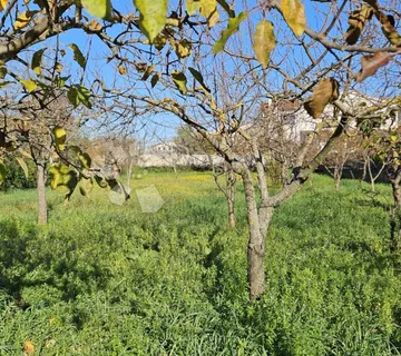 VODNJAN - građevinsko zemljište s gospodarskom zgradom