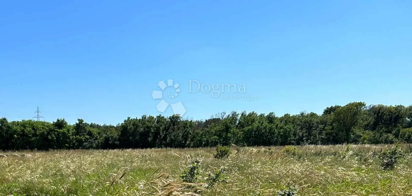 Fotografija
