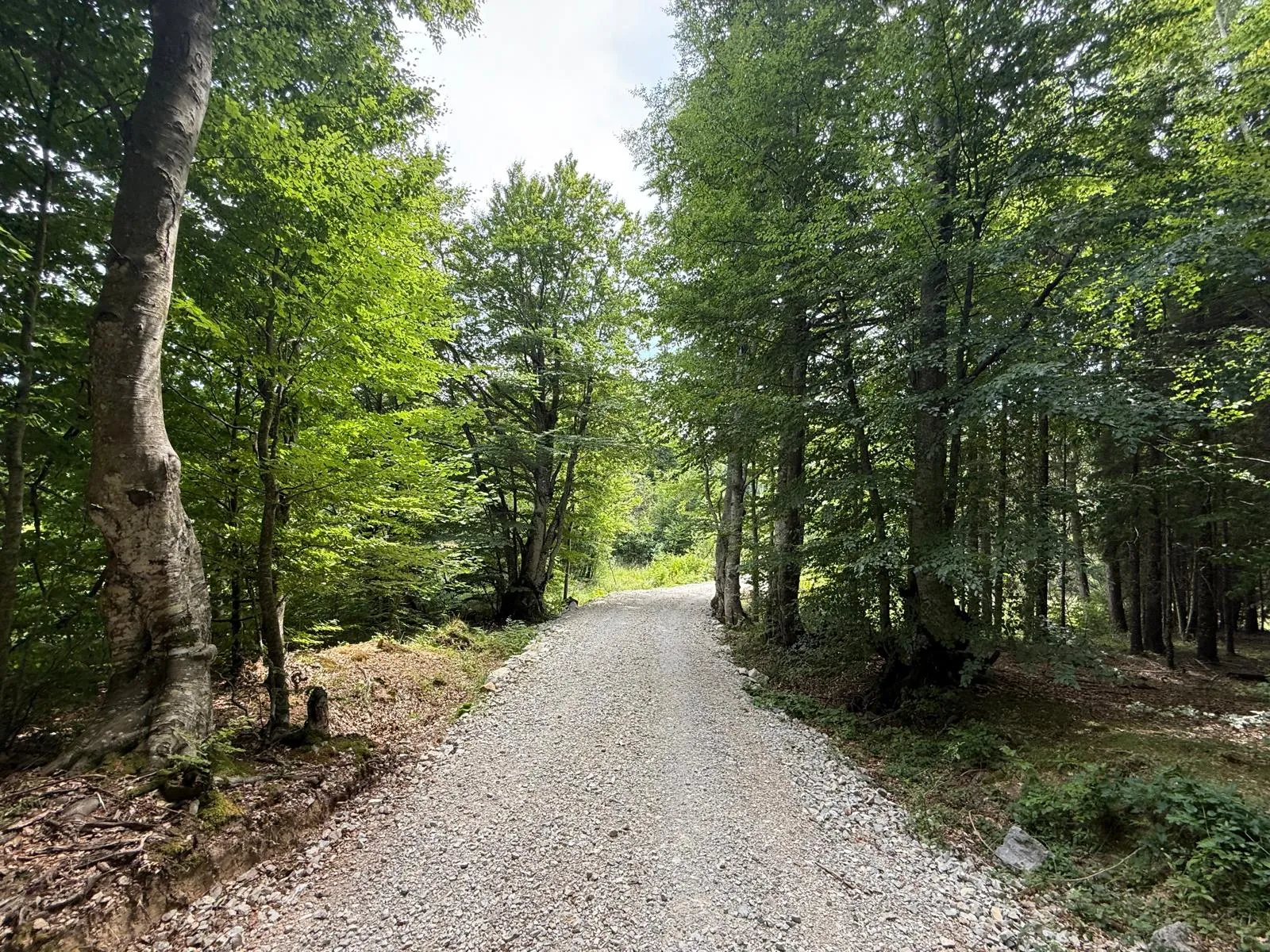 Fotografija