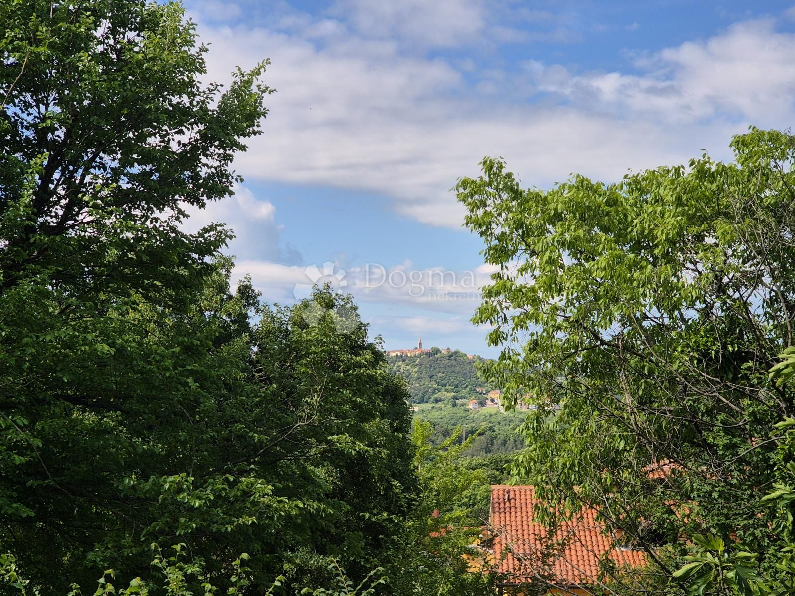 Fotografija