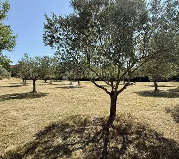 Građevinsko zemljište nadomak Vodnjana - 1022 m2 - cover