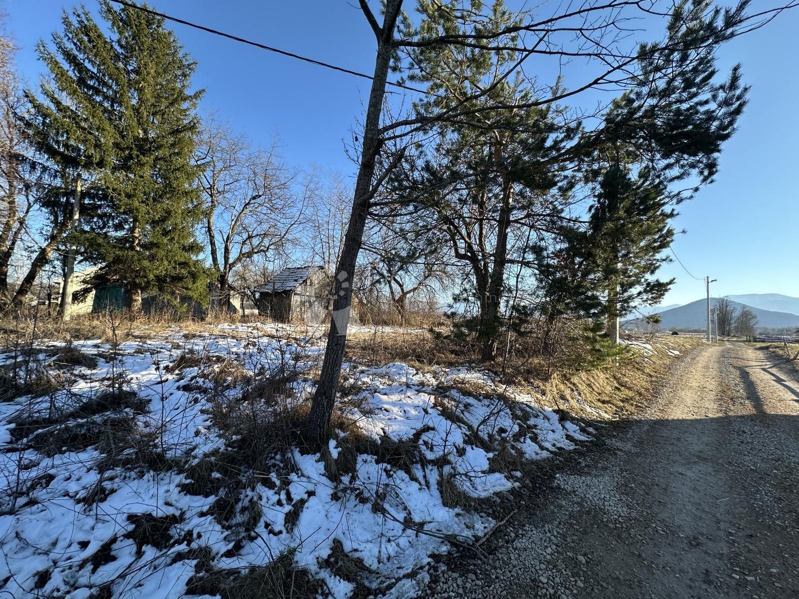 Fotografija