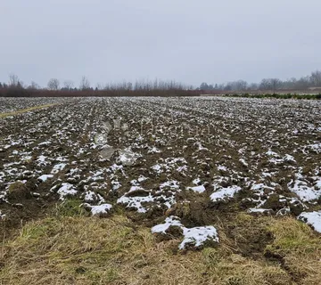 Rugvica