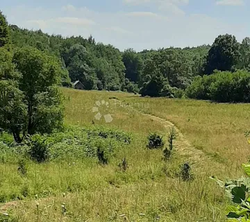 Šuma u širem području Otočca - Otočac