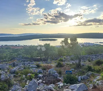 Maslinik s pogledom na more – Punat, otok Krk