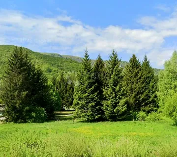Šuma kod Brod Moravica - Brod Moravice