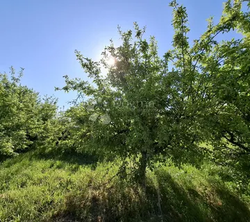 Mirna lokacija u Đakovu s voćnjakom! - cover