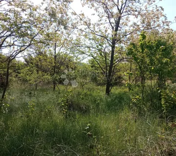 Šuma 3350m2 Svetvinčenat - Bokordići, Svetvinčenat