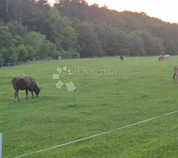 Klana - Studena, dvije etaže kuće, stan i pp - Studena, Klana