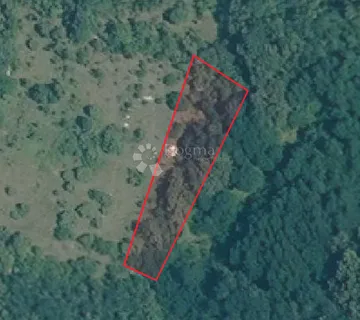 Poljoprivredno zemljište 1315m2 - Čabrunići, Svetvinčenat