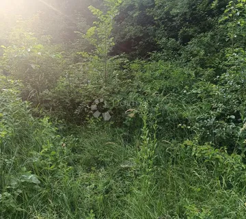 Stara kuća za rušenje - cover