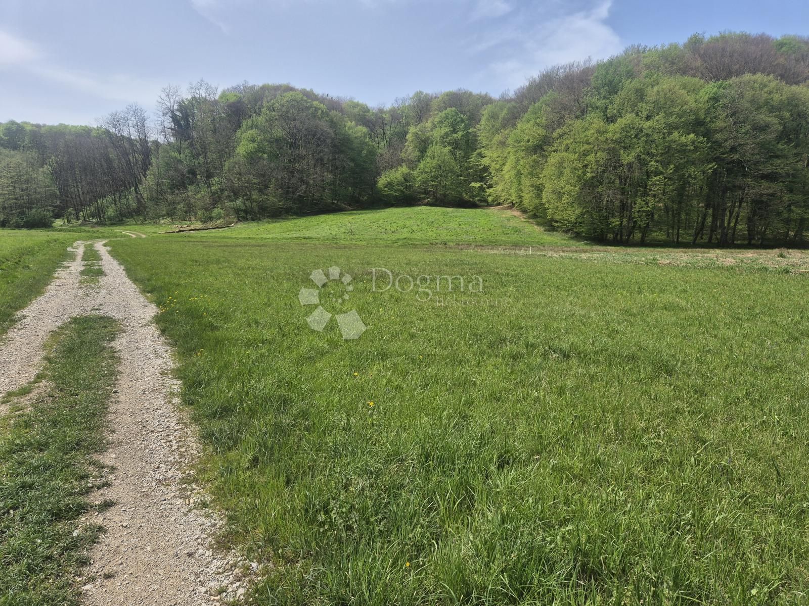 Fotografija
