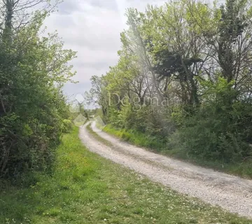 SMOKOVIĆ - POLJOPRIVREDNO ZEMLJIŠTE 6031 M2 - PRODAJA - cover