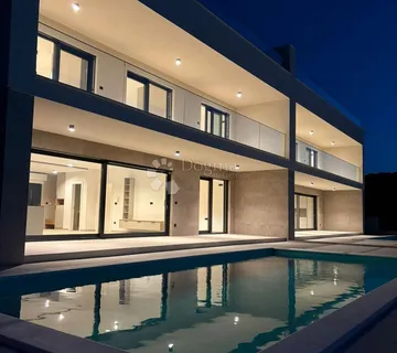 VILA SA UMIRUJUĆIM POGLEDOM - cover