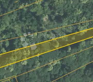 Šumsko zemljište 3.093m² - Donja Voća