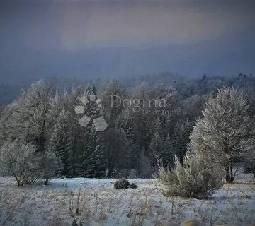 Šuma - Kestenovac, Donji Lapac