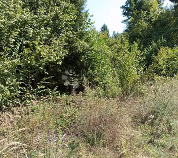 RIJETKA PRILIKA Gorski kotar, Delnice 10.500 M2 ZEMLJIŠTE za 9 A-FRAME vikendica