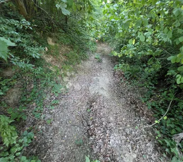 Poljoprivredno zemljište šuma 1.547m² Dubrovčan, kraj Zaboka i Velikog Trgovišća - Dubrovčan, Veliko Trgovišće